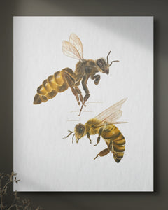 Collection image for: Prints & Canvas